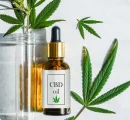 CBD Oil and the Benefits