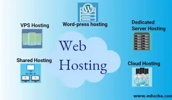 Digital Excellence: Exploring the Best Hosting Options for Your Website