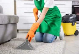 Rug Cleaning for Synthetic Rugs: Easy Maintenance Tips