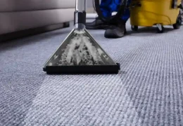 Carpet Cleaning for Government Buildings: Upholding Public Trust