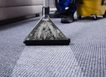 Carpet Cleaning for Government Buildings: Upholding Public Trust