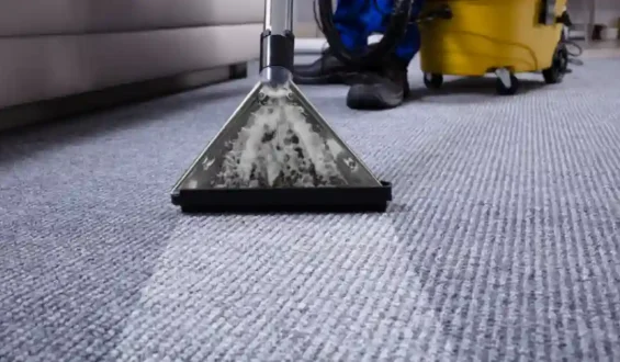 Carpet Cleaning for Government Buildings: Upholding Public Trust