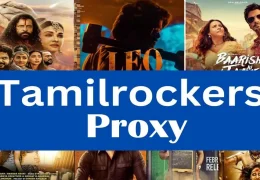 Proxy Site Security Measures: Protecting Your Identity on Tamilrockers