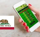 The Future of Sports Betting in California: What’s Next for Bettors?