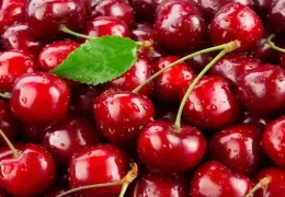 When Are Cherries In Season? Best Time To Buy And Eat Fresh Fruit