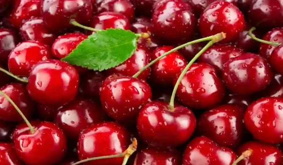 When Are Cherries In Season? Best Time To Buy And Eat Fresh Fruit