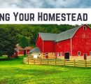 Farm Names That Are Witty, Rustic, Wholesome, And Cute