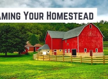 Farm Names That Are Witty, Rustic, Wholesome, And Cute